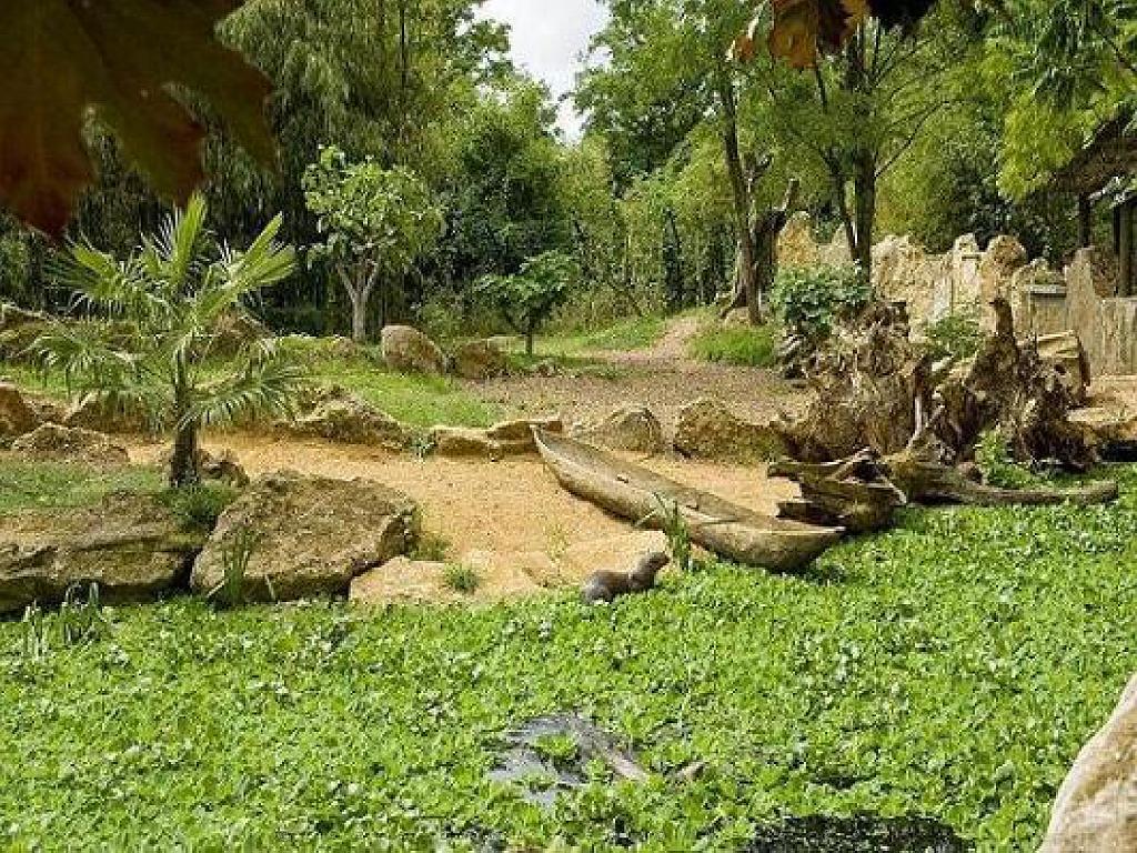 149 BIO PARC DE DOUE LA FONTAINE 5- 2016_000038.jpg